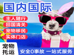 承德航空货运国际宠物托运 【国